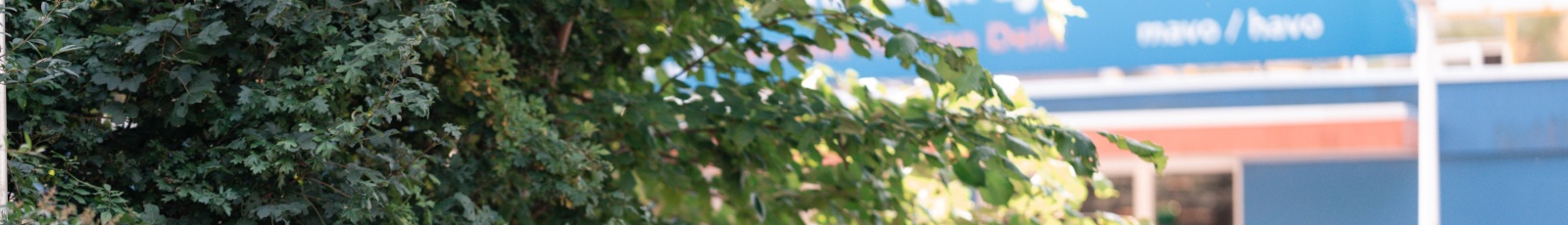 Documenten